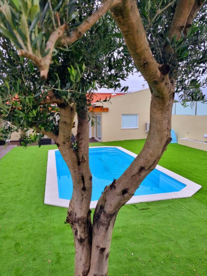 Villas Com Piscina Вила-Нова-ди-Гая Экстерьер фото