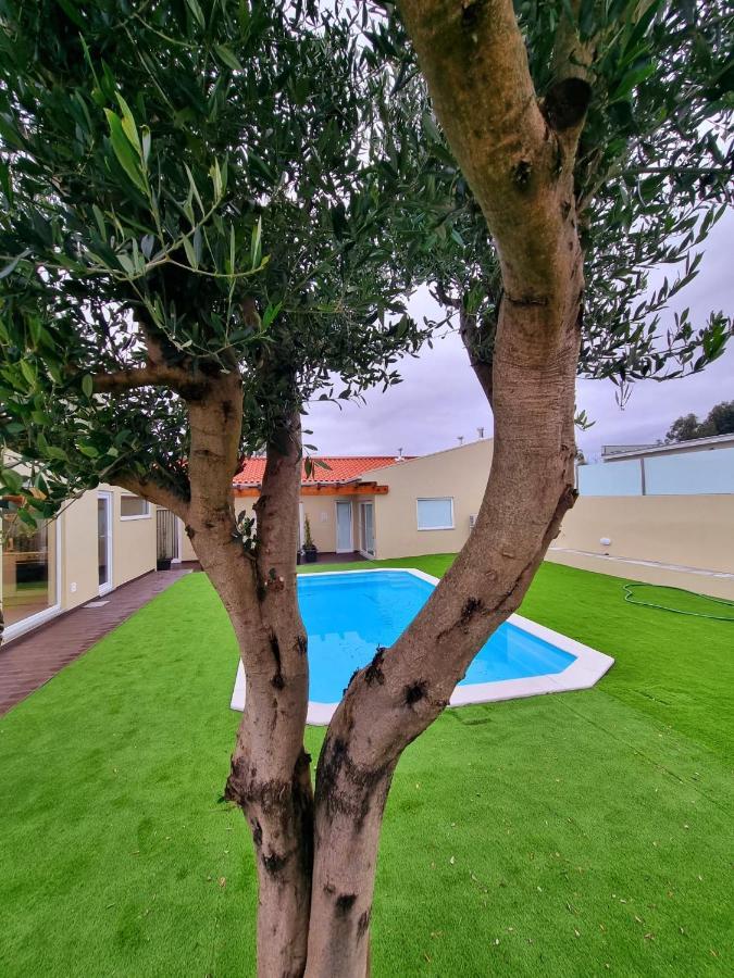 Villas Com Piscina Вила-Нова-ди-Гая Экстерьер фото